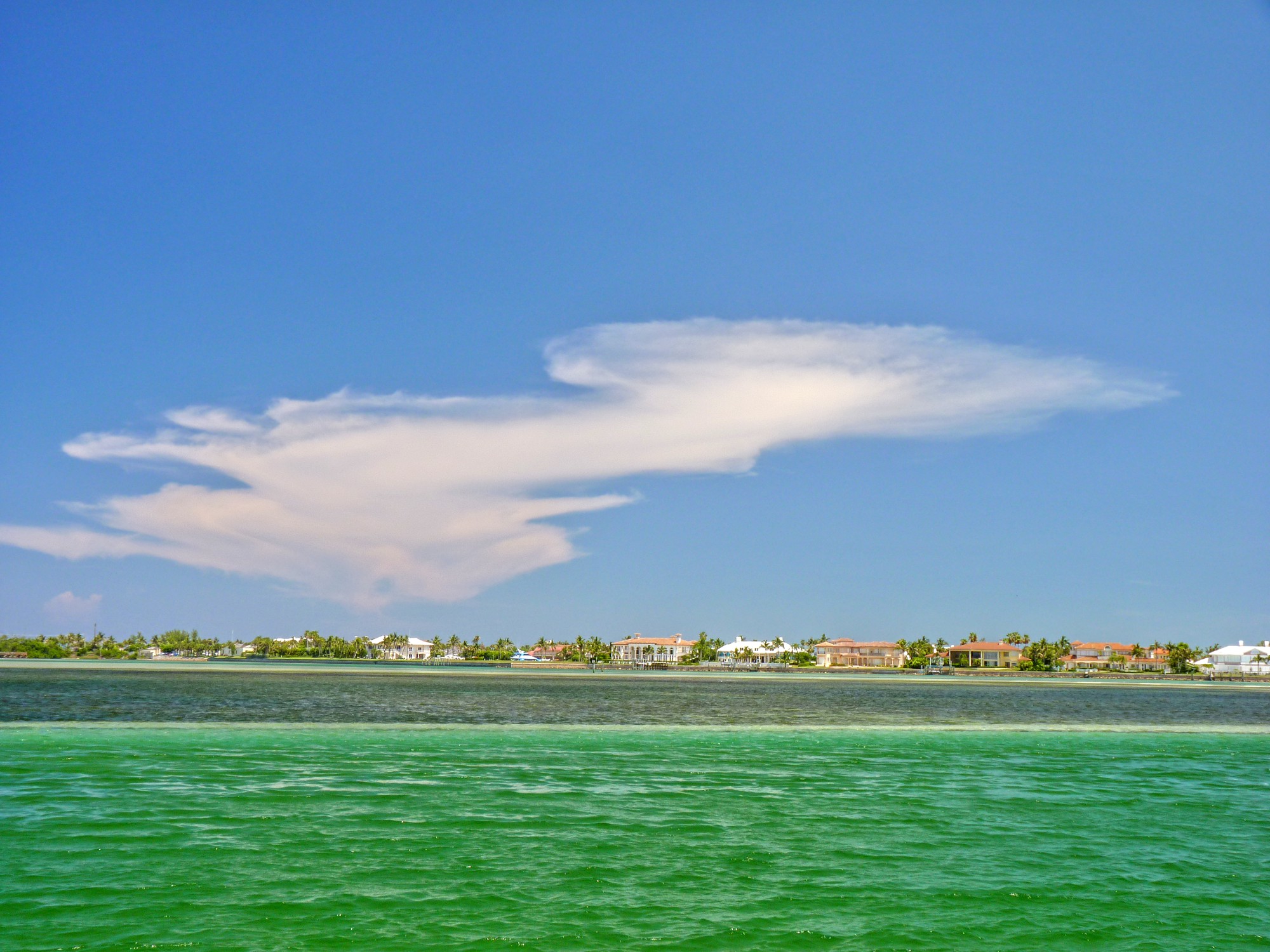 Click to See Next Image